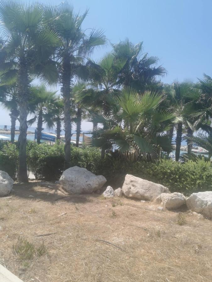 Peyia Sunset Villa Dış mekan fotoğraf